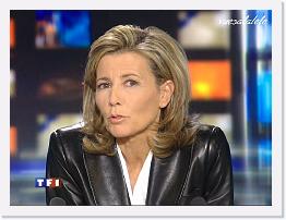 TF1 2008-02-15 20-09-45 * 768 x 576 * (153KB)